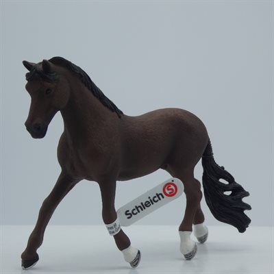 TRAKEHNER GELDING SCHLEICH